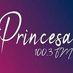Rádio Princesa FM 100.3