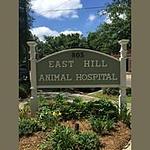 99-East Hill Animal Hospital