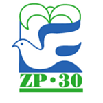 Radio ZP 30