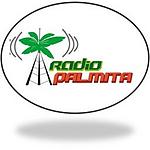 Radio PalmitaTV